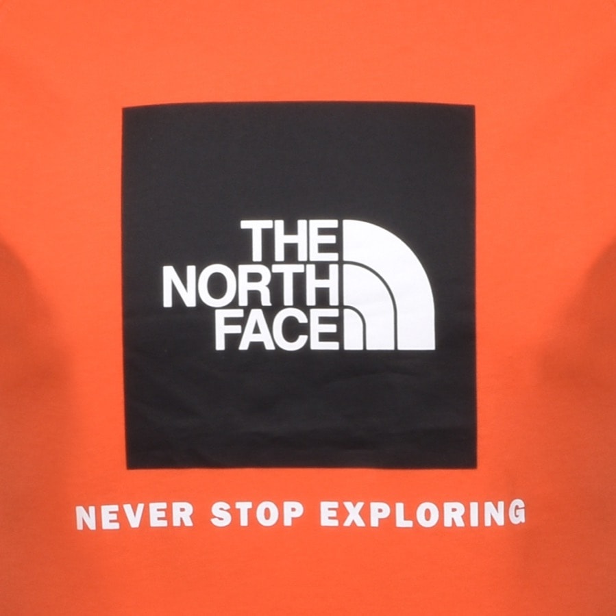 Alternative Image for ProductThe North Face Raglan Redbox T Shirt Orange3